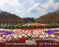 国営昭和記念公園