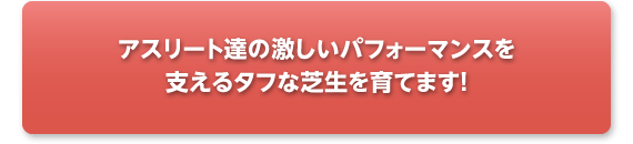 アスリート達の激しいパフォーマンスを支えるタフな芝生を育てます！